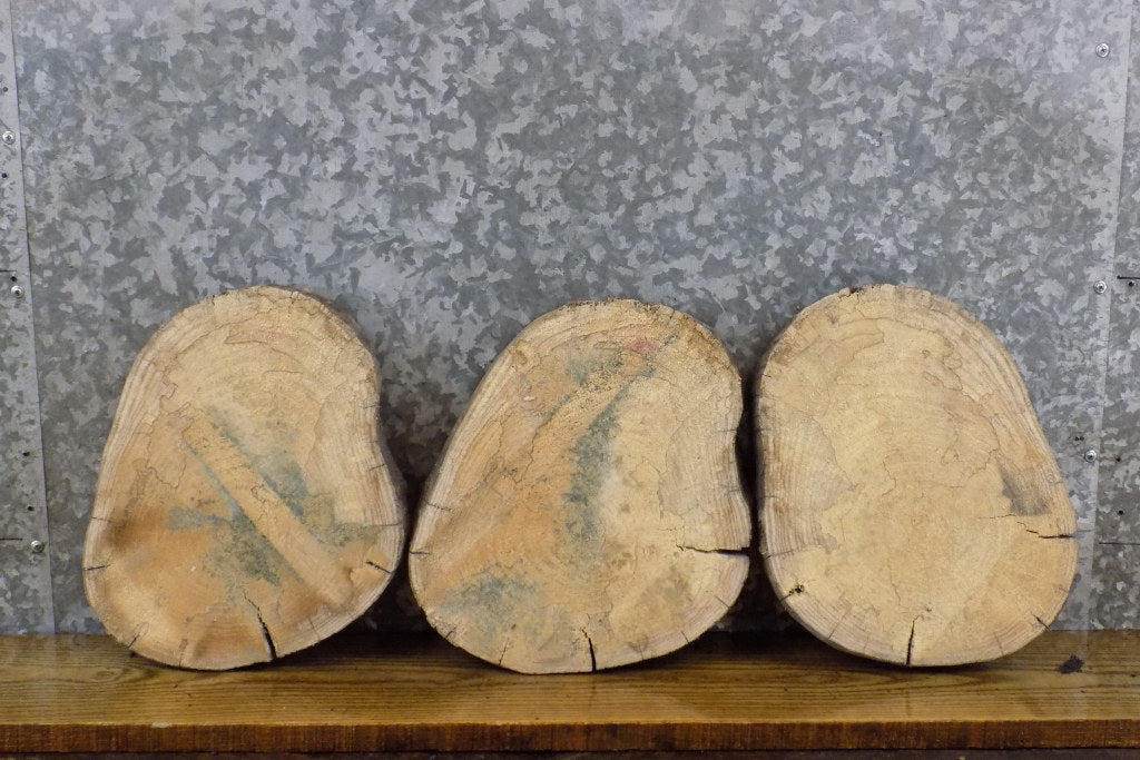 3- Reclaimed Round Cut Live Edge Maple Centerpieces/Craft Pack 14117-14119