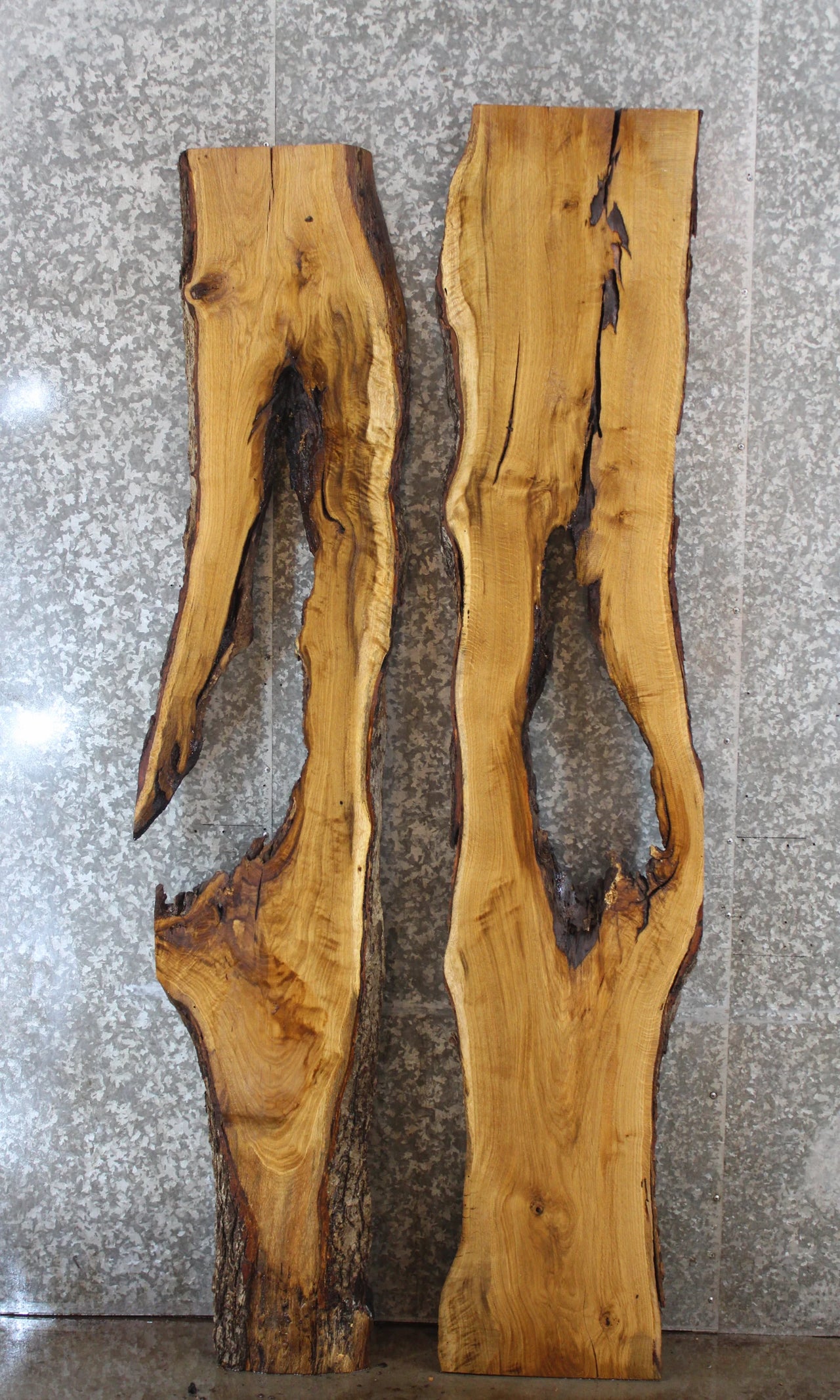 2- Salvaged Live Edge Oak River Table Top Slabs 40757-40758