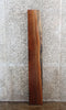 Thumbnail for Salvaged Live Edge Black Walnut Mantel Slab 4366