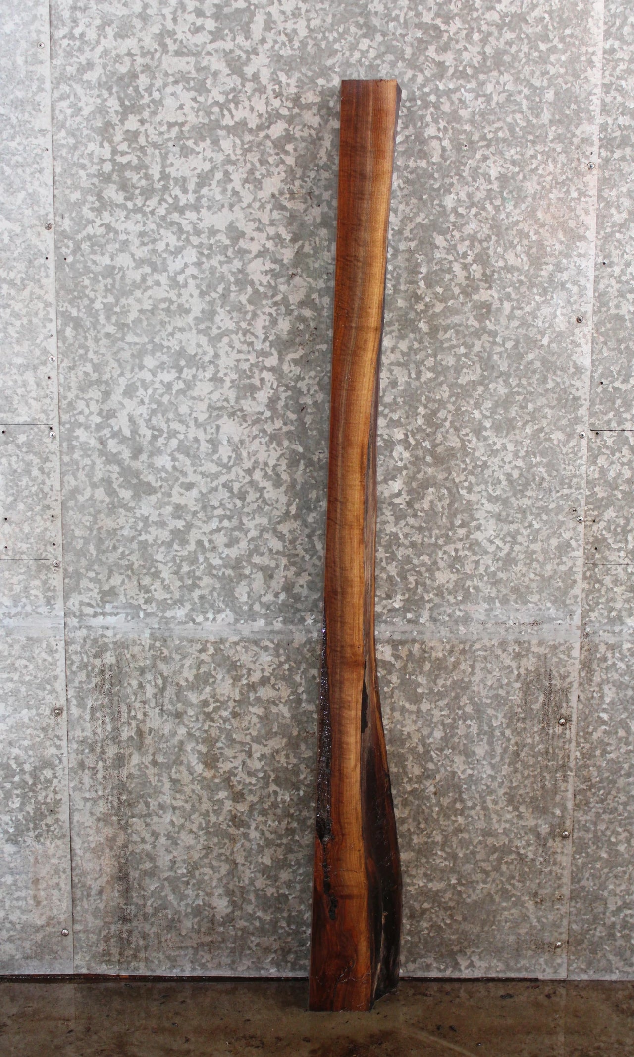 Salvaged Live Edge Black Walnut Mantel Slab 4367