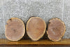 Thumbnail for 3- Round Cut Live Edge Black Walnut Centerpiece Slabs 12567-12569
