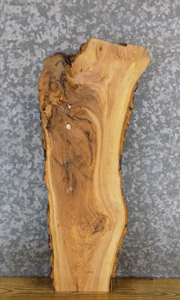 Live Edge Bark Ash Rustic Accent/Entry Table Top Slab 5362