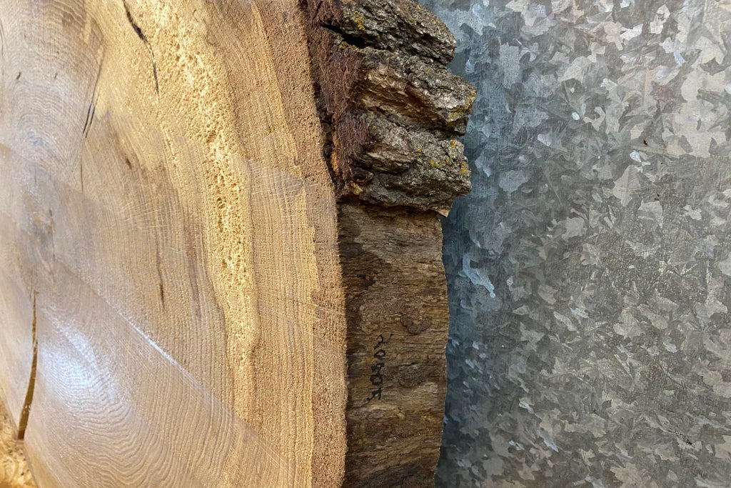 Live Edge White Oak Wood Log/Tree Slice 20805