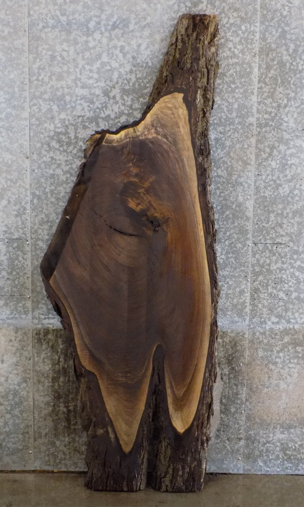 Rustic Live Edge Black Walnut Coffee Table Top Slab CLOSEOUT 4389
