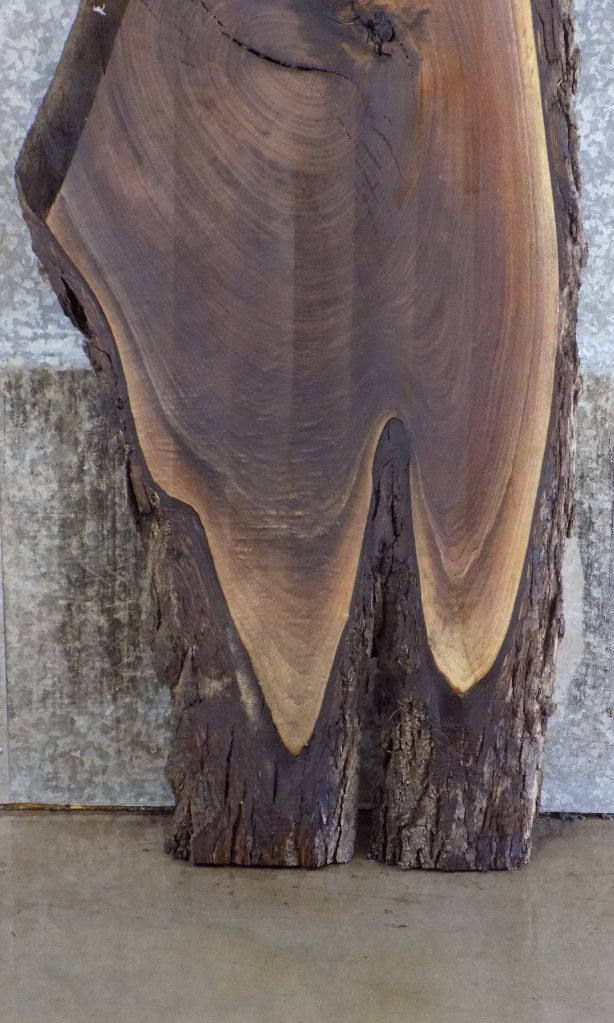 Rustic Live Edge Black Walnut Coffee Table Top Slab CLOSEOUT 4389