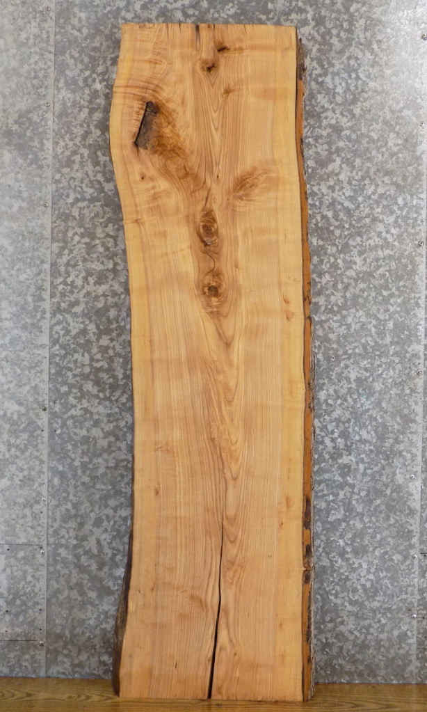 Rustic Live Edge Bark Ash Coffee/Sofa Table Top Wood Slab 4402
