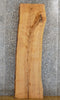 Thumbnail for Rustic Live Edge Bark Ash Coffee/Sofa Table Top Wood Slab 4402