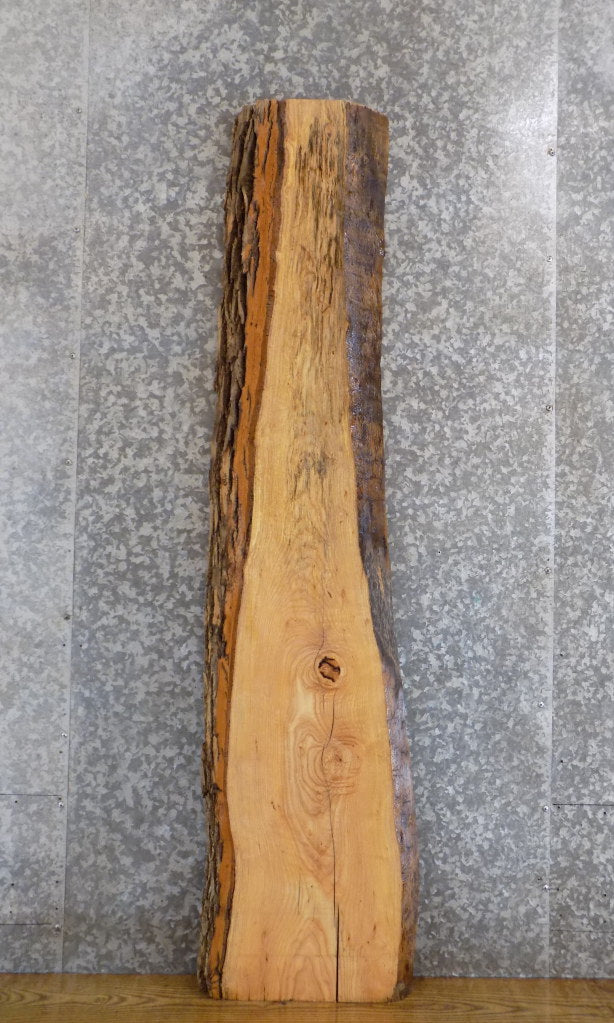 Live Edge Bark Ash Accent/Sofa Table Top Slab CLOSEOUT 4403