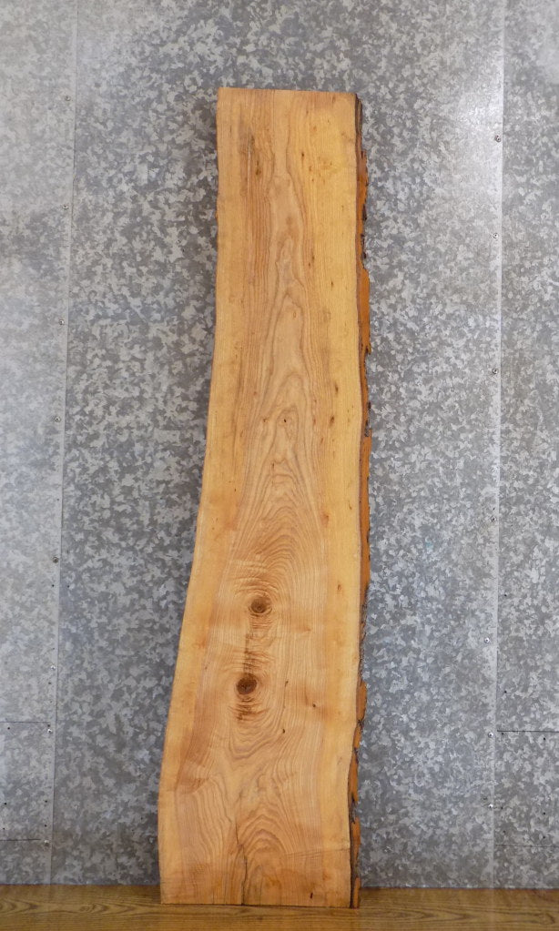 Live Edge Bark Ash Accent/Sofa Table Top Slab CLOSEOUT 4403