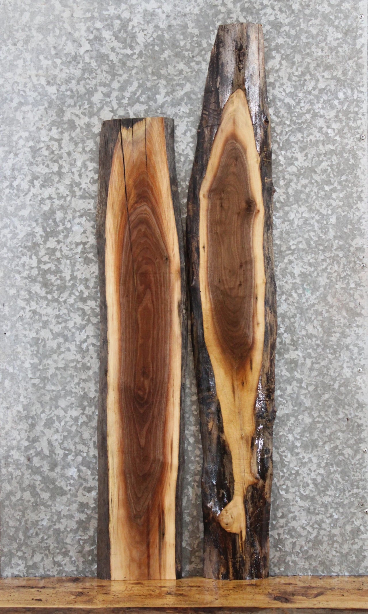 2- Live Edge Black Walnut Wall Shelves/Craft Pack 441-442