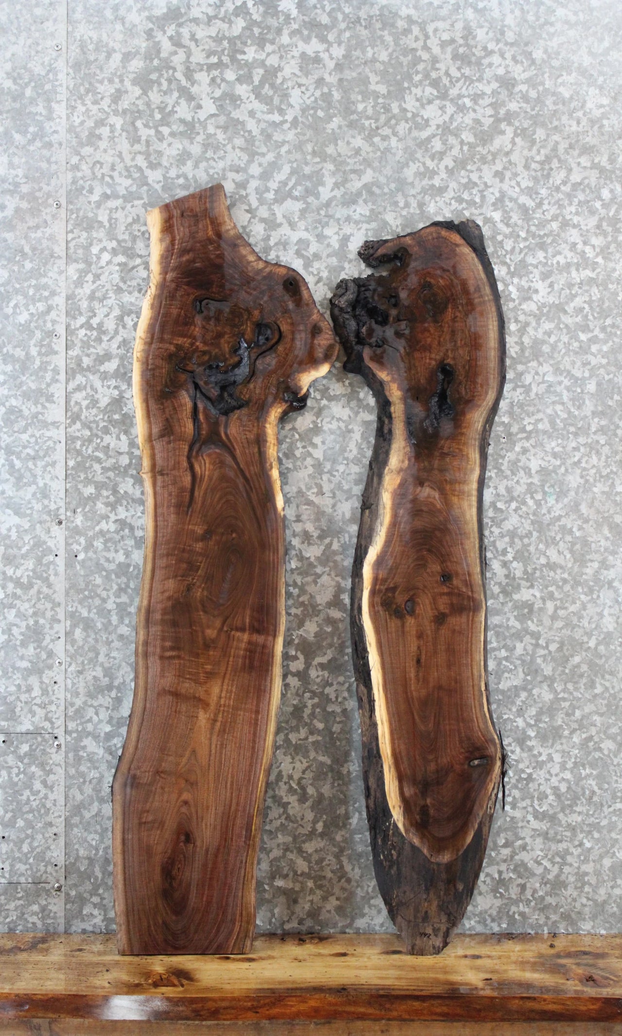 2- Walnut Live Edge Charcuterie/Taxidermy Slabs 441-442