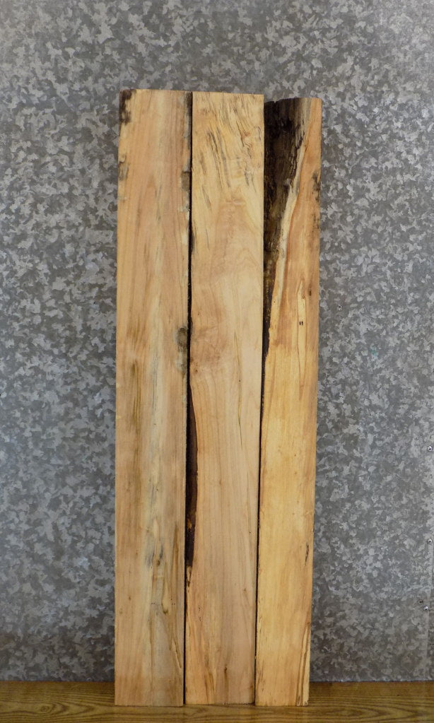 3- Maple Salvaged Kiln Dried Book Shelf Slabs/Lumber Boards 44128