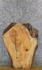 Thumbnail for Natural Edge Rustic Ash Sofa/Side/Coffee Table Top Slab 42260