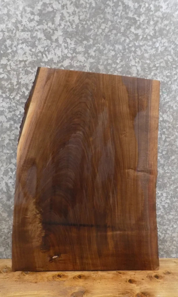 Live Edge Black Walnut End/Accent/Coffee Table Top Slab 7012