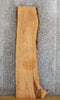 Thumbnail for Live Edge Ash Accent/Sofa/Coffee Table Top Slab 4432