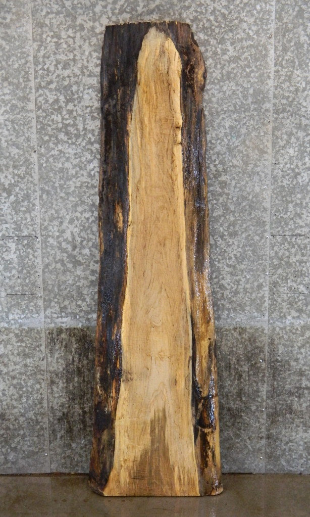 Spalted Maple Live Edge Bar/Sofa Table Top Slab  CLOSEOUT 4446