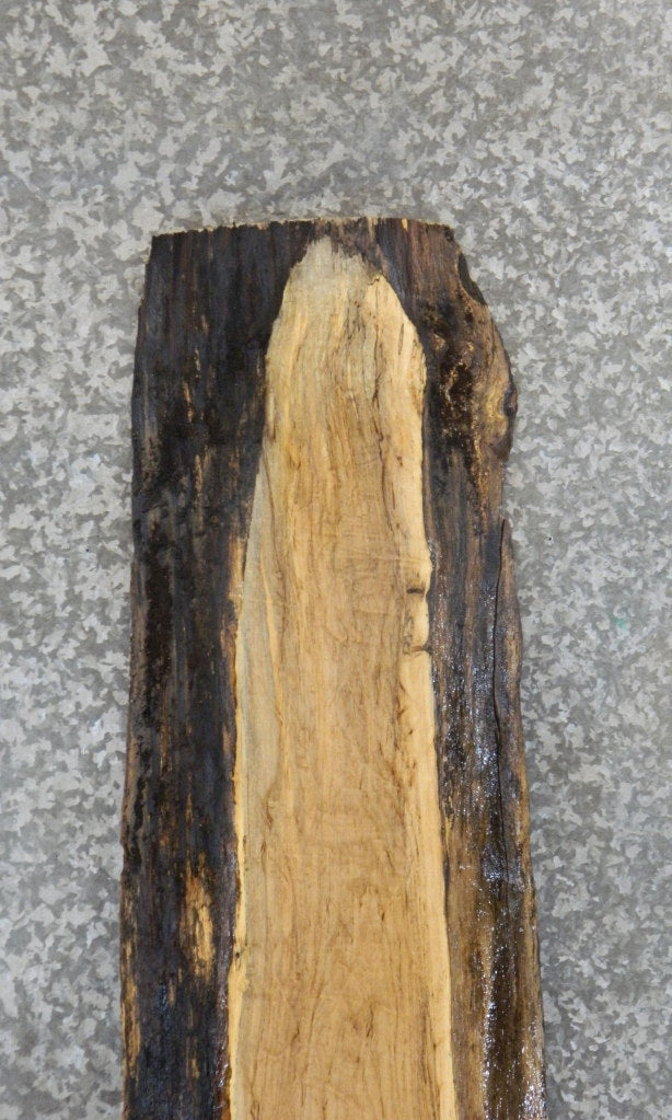 Spalted Maple Live Edge Bar/Sofa Table Top Slab  CLOSEOUT 4446