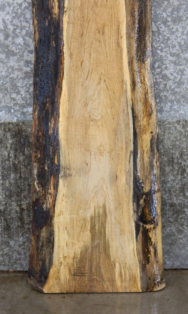 Spalted Maple Live Edge Bar/Sofa Table Top Slab  CLOSEOUT 4446