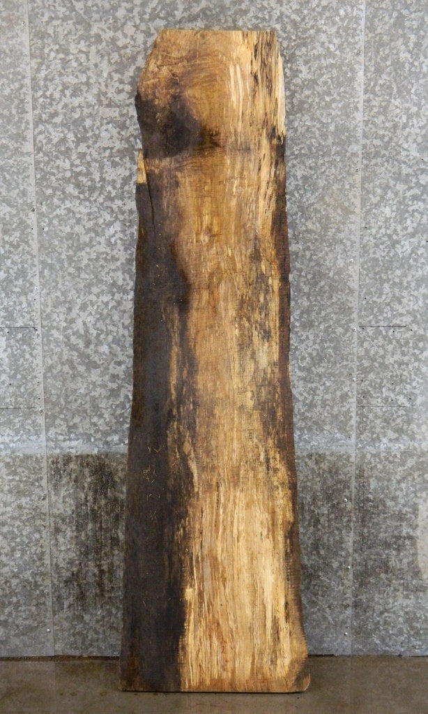 Spalted Maple Live Edge Bar/Sofa Table Top Slab  CLOSEOUT 4446