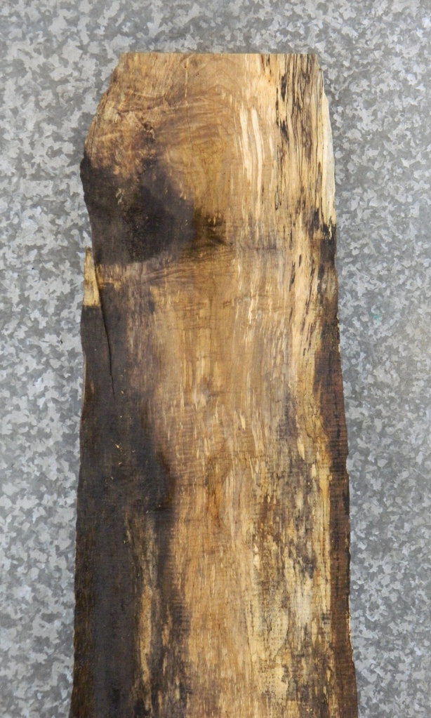 Spalted Maple Live Edge Bar/Sofa Table Top Slab  CLOSEOUT 4446