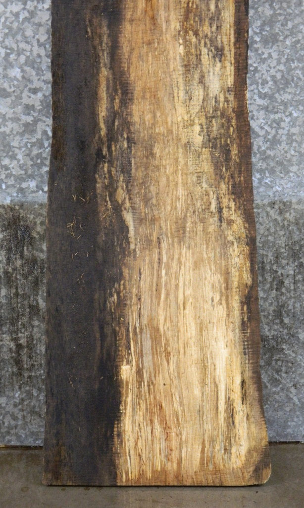 Spalted Maple Live Edge Bar/Sofa Table Top Slab  CLOSEOUT 4446