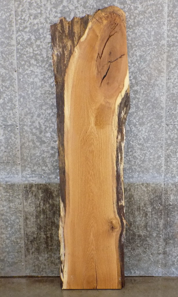 Live Edge White Oak Sofa/Coffee Table Top Wood Slab CLOSEOUT 4447