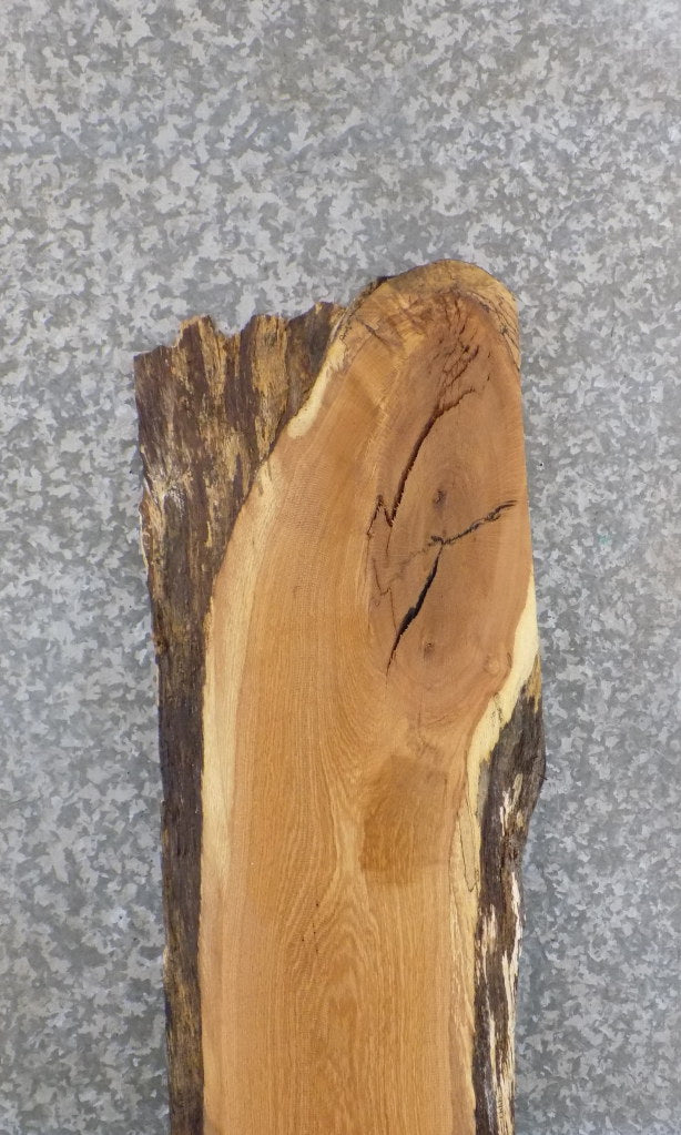 Live Edge White Oak Sofa/Coffee Table Top Wood Slab CLOSEOUT 4447