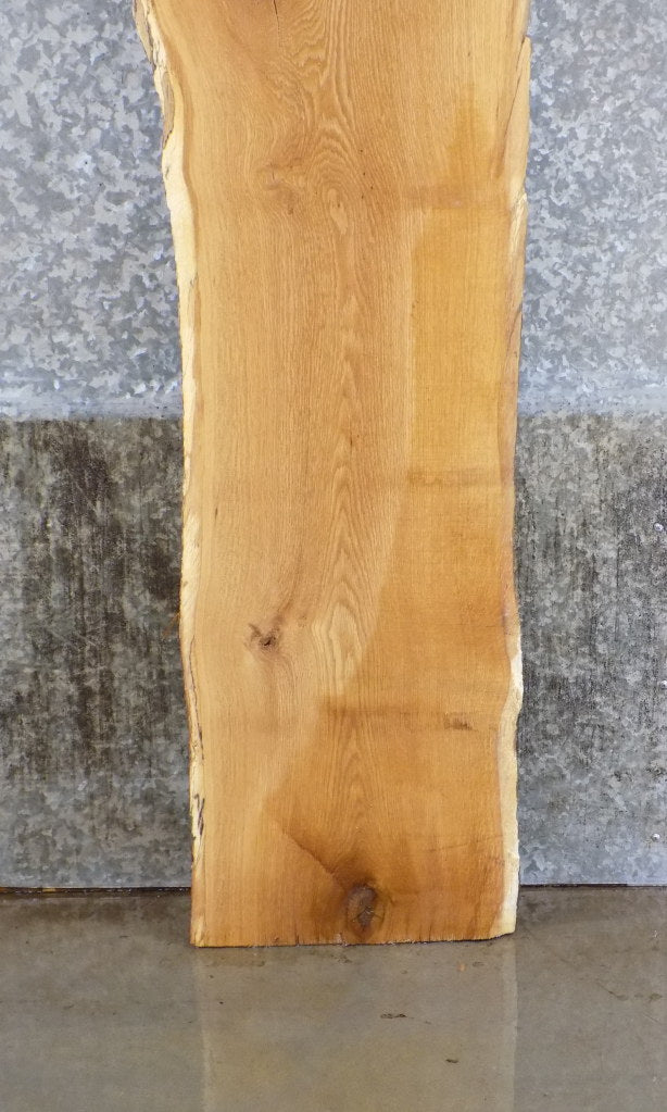 Live Edge White Oak Sofa/Coffee Table Top Wood Slab CLOSEOUT 4447