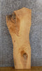 Thumbnail for Rustic Live Edge Ash Coffee/Sofa Table Top Wood Slab 445