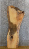Thumbnail for Rustic Live Edge Ash Coffee/Sofa Table Top Wood Slab 445