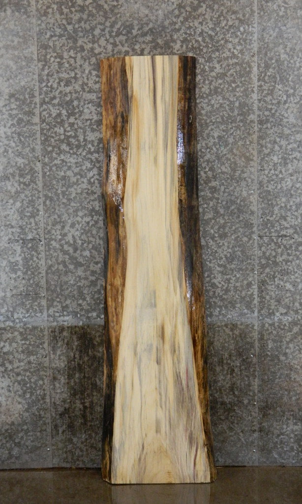 Live Edge Spalted Maple Sofa/Cocktail Table Top Slab CLOSEOUT 4462