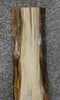 Thumbnail for Live Edge Spalted Maple Sofa/Cocktail Table Top Slab CLOSEOUT 4462