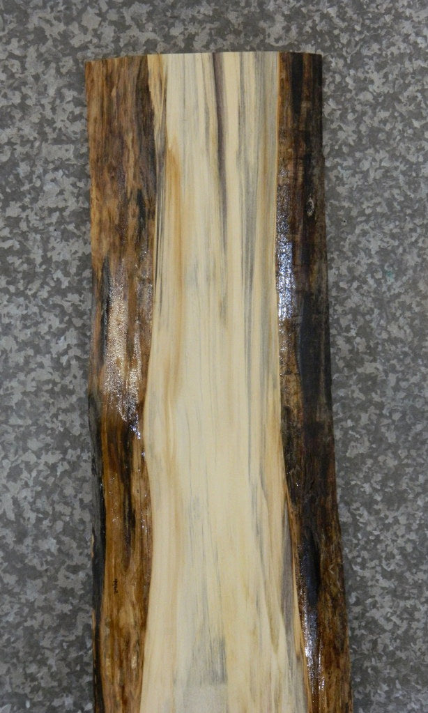 Live Edge Spalted Maple Sofa/Cocktail Table Top Slab CLOSEOUT 4462