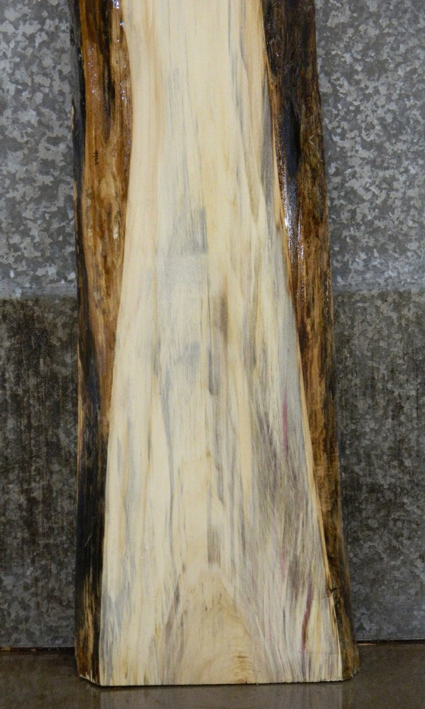 Live Edge Spalted Maple Sofa/Cocktail Table Top Slab CLOSEOUT 4462