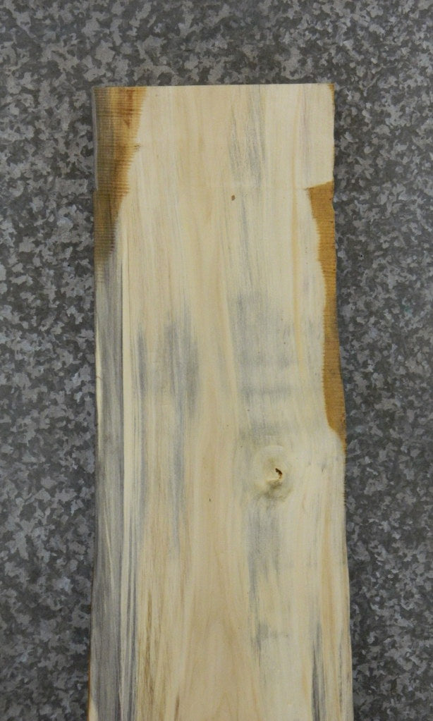 Live Edge Spalted Maple Sofa/Cocktail Table Top Slab CLOSEOUT 4462