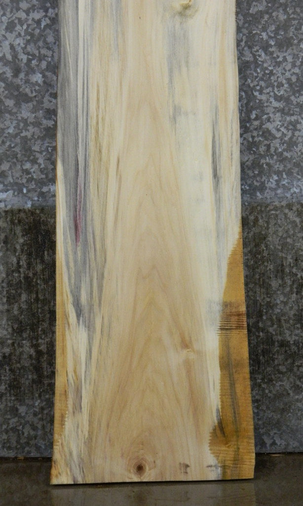 Live Edge Spalted Maple Sofa/Cocktail Table Top Slab CLOSEOUT 4462