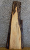 Thumbnail for Reclaimed Live Edge Spalted Maple Coffee/Sofa Table Top Slab 446
