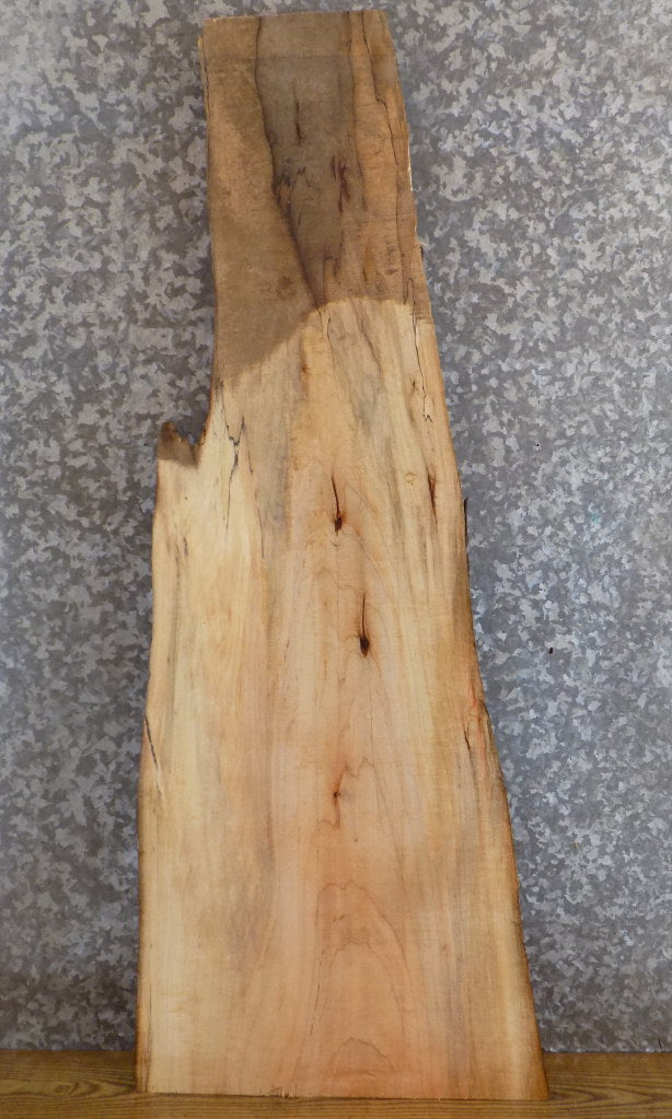 Reclaimed Live Edge Spalted Maple Coffee/Sofa Table Top Slab 446