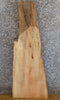 Thumbnail for Reclaimed Live Edge Spalted Maple Coffee/Sofa Table Top Slab 446