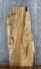 Thumbnail for Live Edge Spalted Maple Desk/Dining Table Top Slab 4478