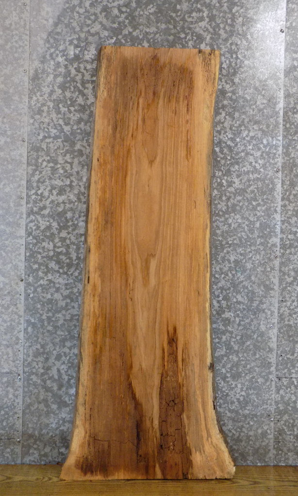 Rustic Live Edge Sofa/Coffee Table Top Ash Wood Slab CLOSEOUT 4486