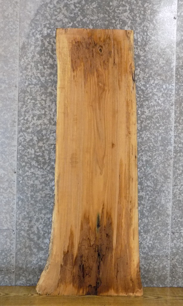 Rustic Live Edge Sofa/Coffee Table Top Ash Wood Slab CLOSEOUT 4486