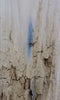 Thumbnail for Rustic Live Edge Sofa/Coffee Table Top Ash Wood Slab CLOSEOUT 4486