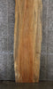Thumbnail for Spalted Maple Bar Top/Desk Slab, Live Edge Wood Slab 45000