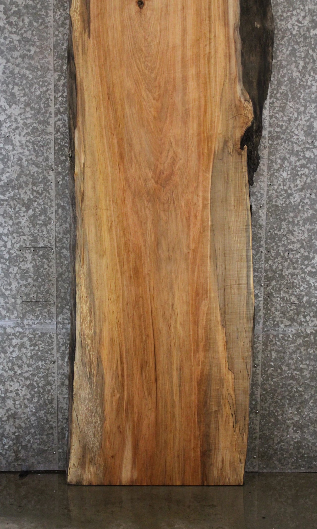 Live Edge Wood Slab, Spalted Maple Desk/Bar Top Slab 45003