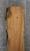 Thumbnail for Live Edge Wood Slab, Spalted Maple Desk/Bar Top Slab 45003