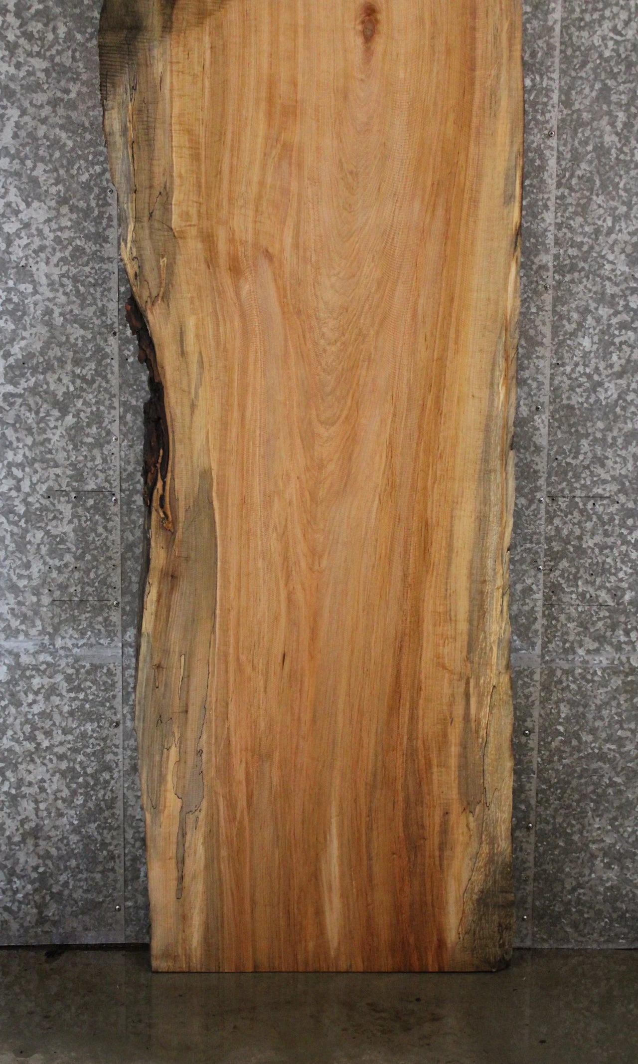 Live Edge Wood Slab, Spalted Maple Desk/Bar Top Slab 45003