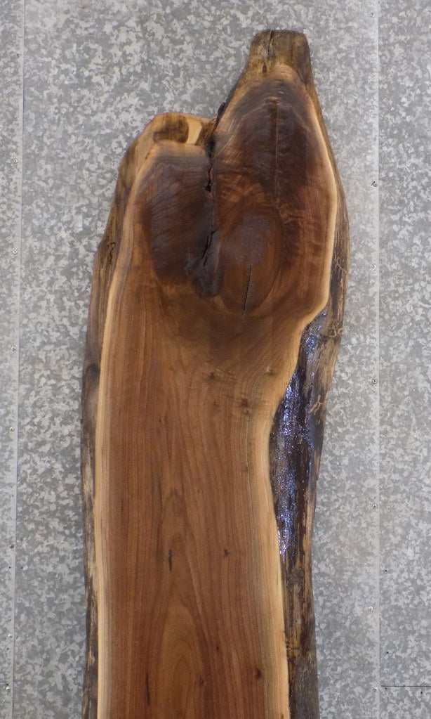 Rustic Live Edge Black Walnut Bar/Reception Table Top Slab 45004
