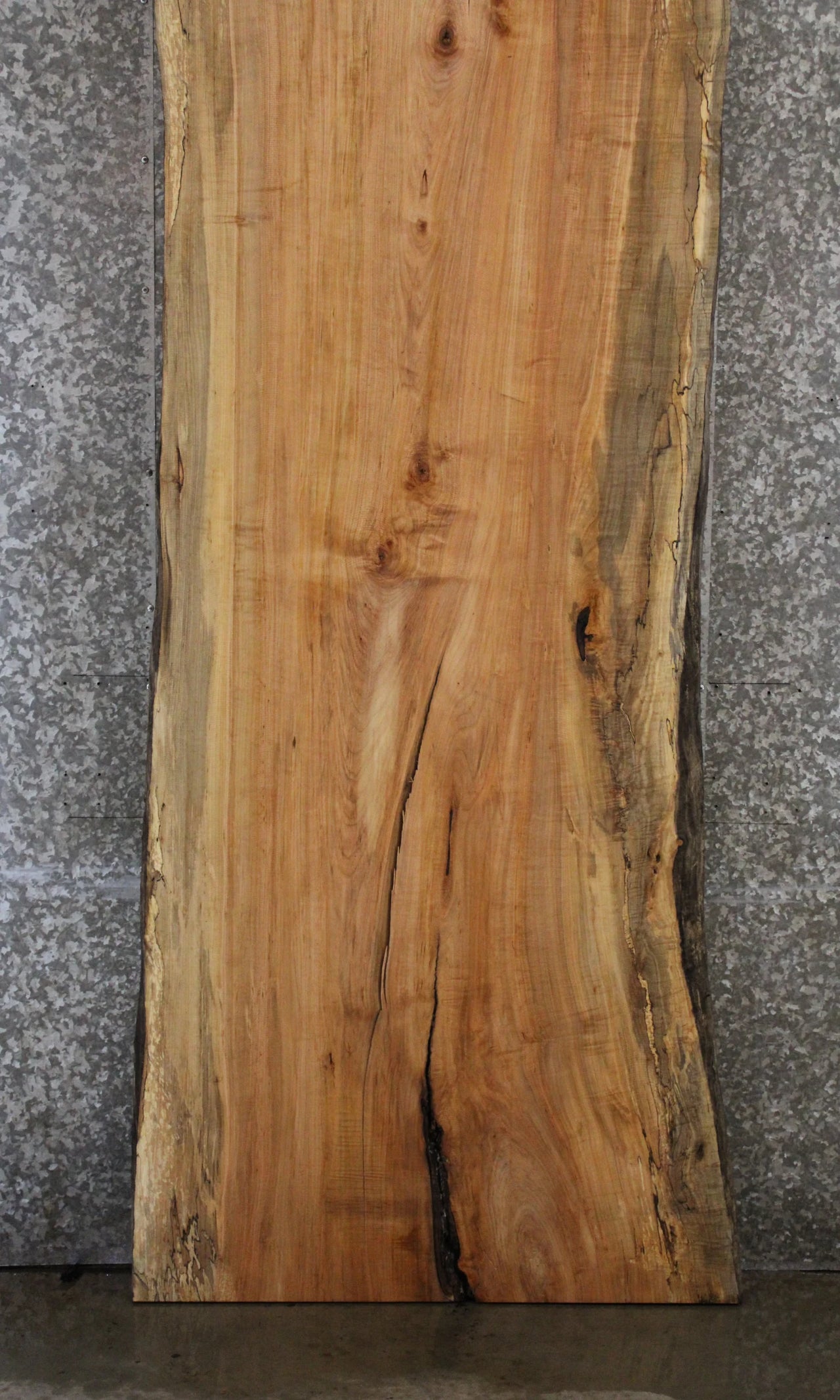 Live Edge Wood Slab, Spalted Maple Wide Desk Slab 45005
