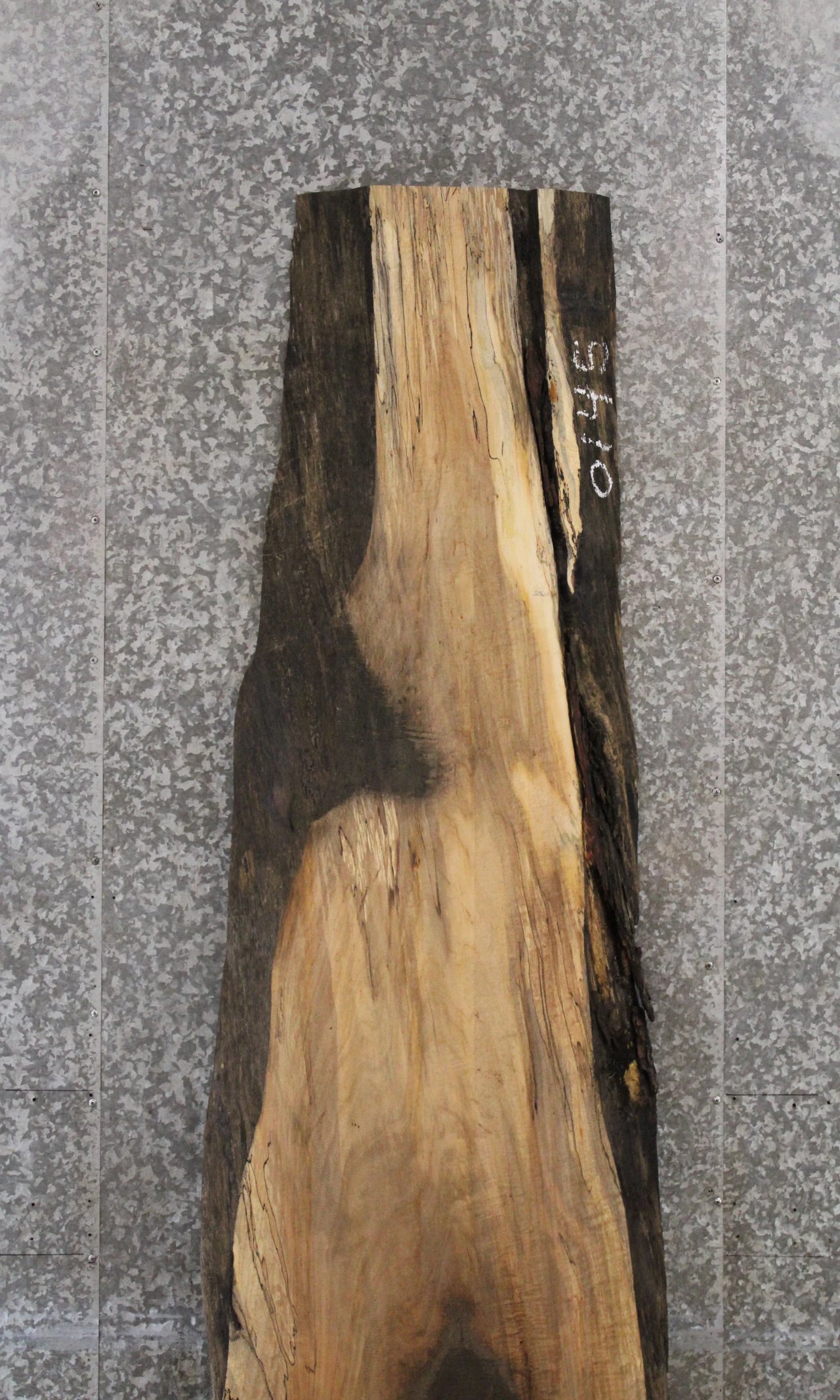 Spalted Maple Desk Top Slab, Live Edge Wood 45010